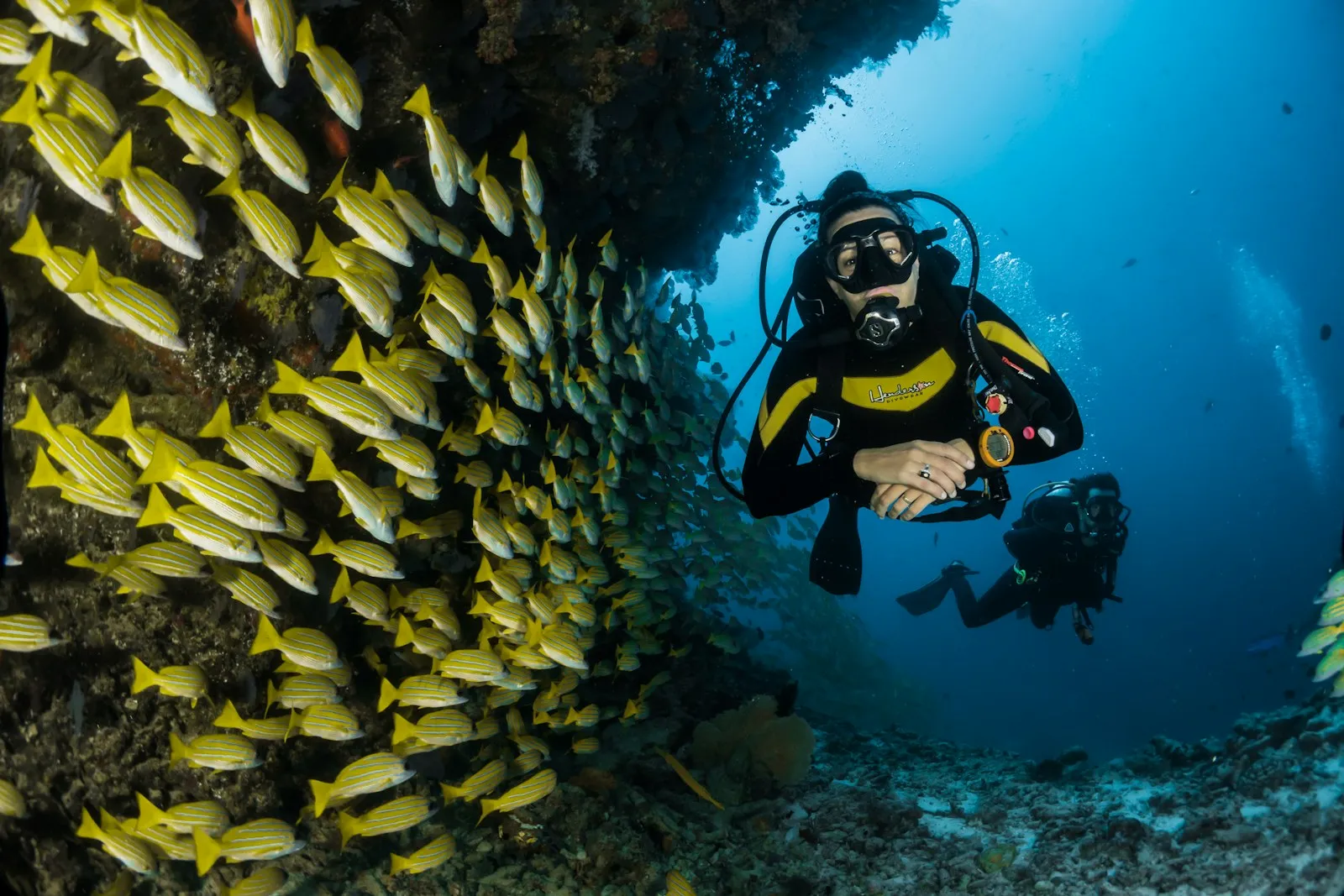 Snorkellers above bright coral reef